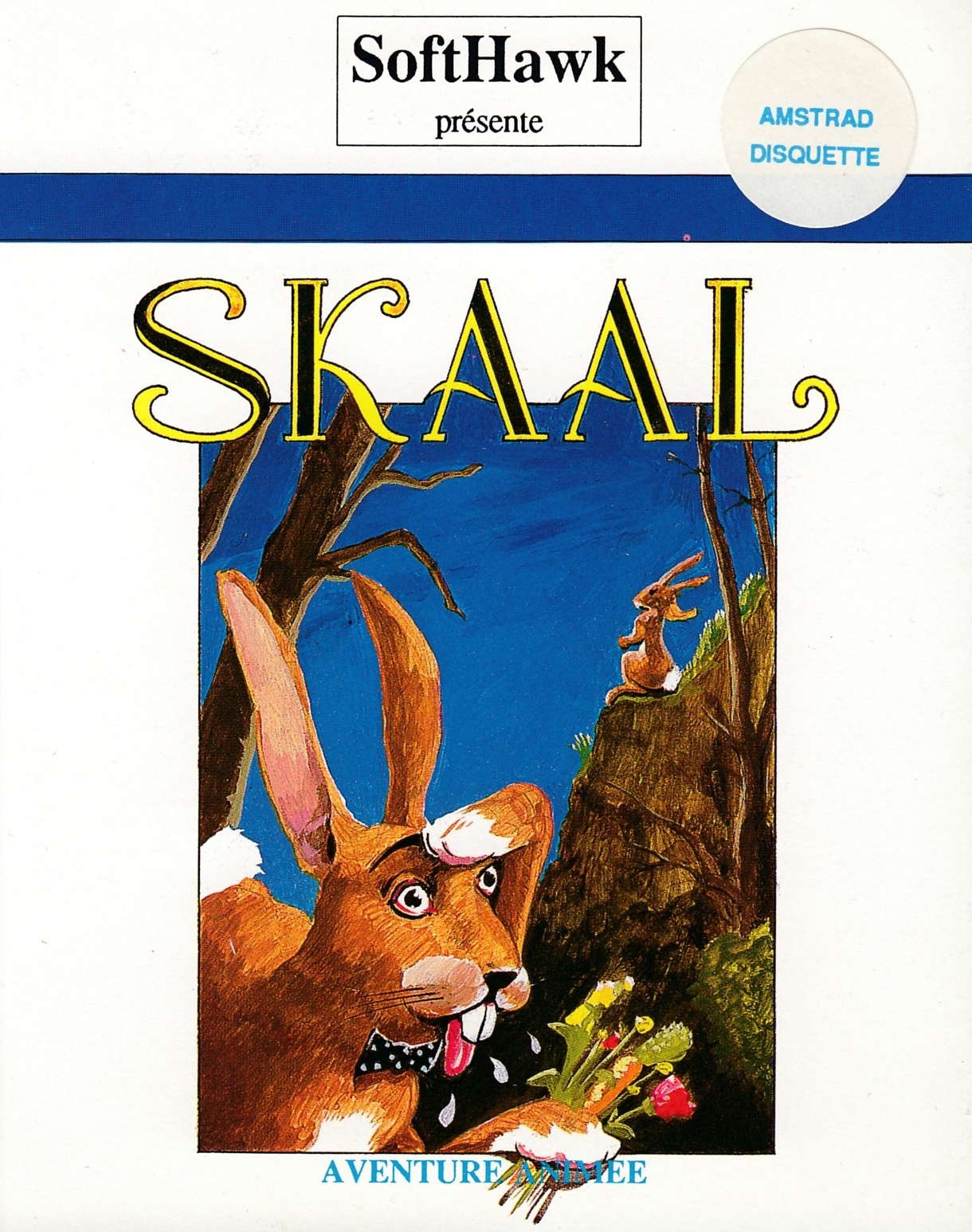 cover of the Amstrad CPC game Skaal  by GameBase CPC