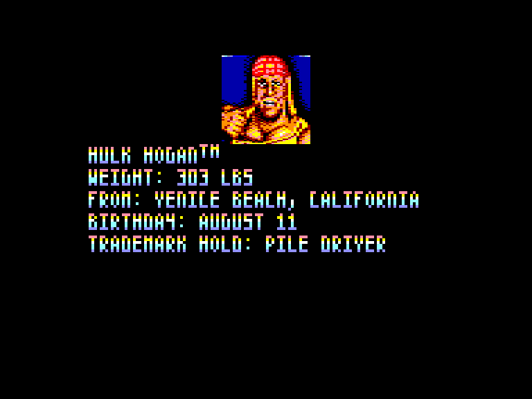 screenshot of the Amstrad CPC game WWF Wrestlemania by GameBase CPC