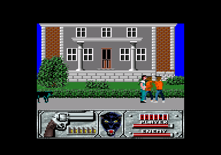 screenshot of the Amstrad CPC game Wild Streets by GameBase CPC