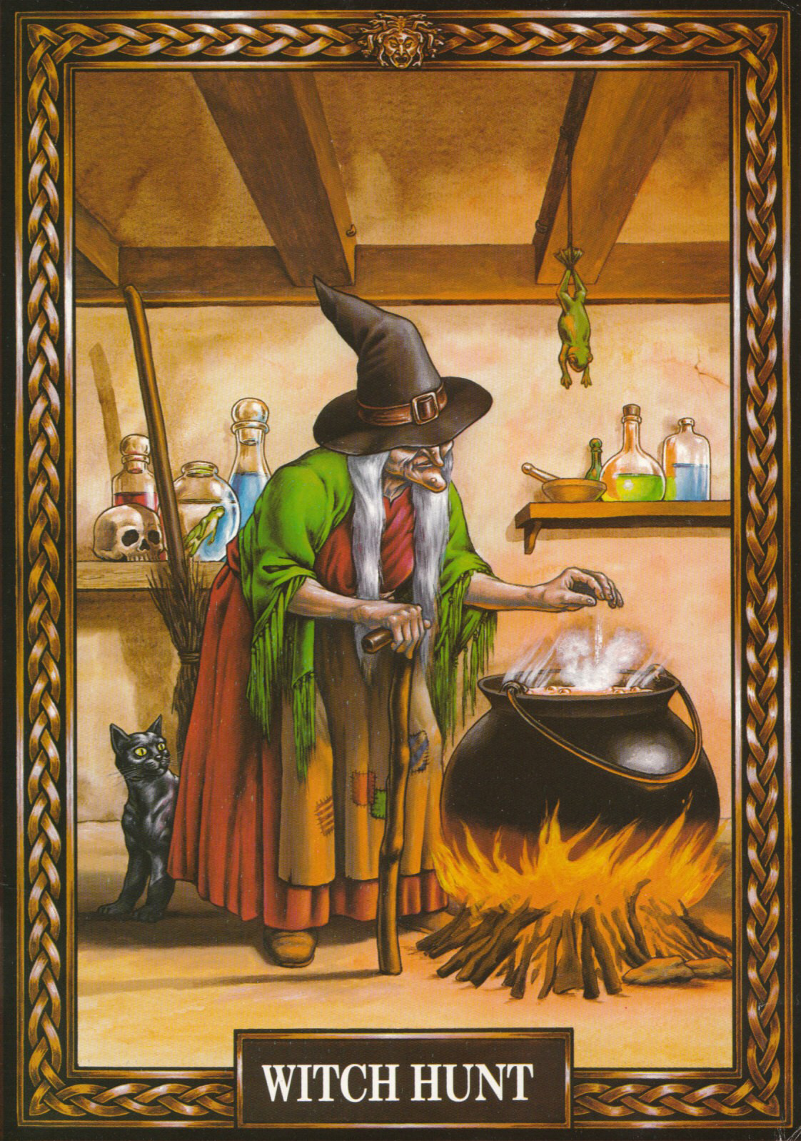 cover of the Amstrad CPC game Witch Hunt  by GameBase CPC