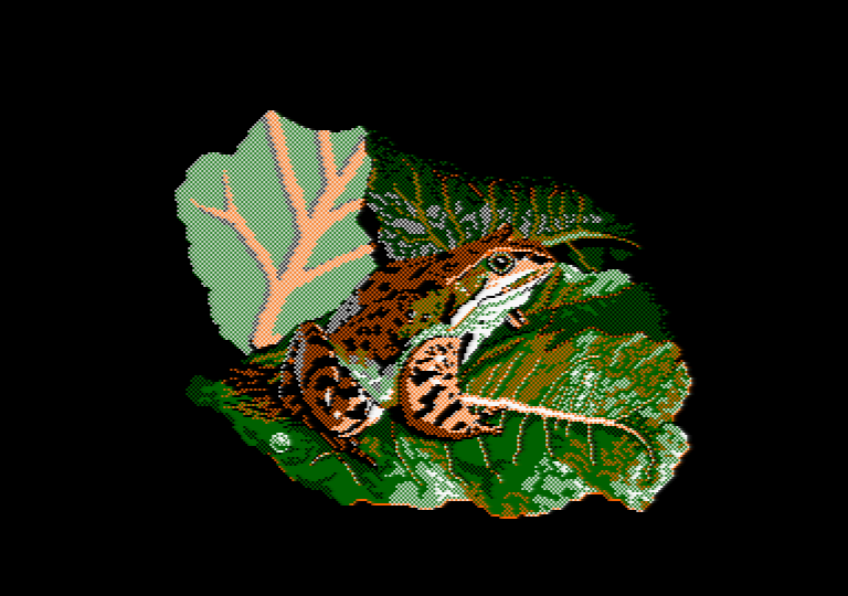 Frog by Jill Lawson, mode 1 picture on an Amstrad CPC